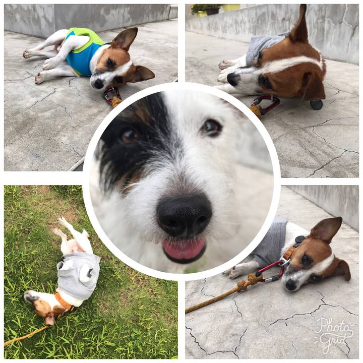 B36de5d7 ac68 4c1b 969f d3b4f2779769