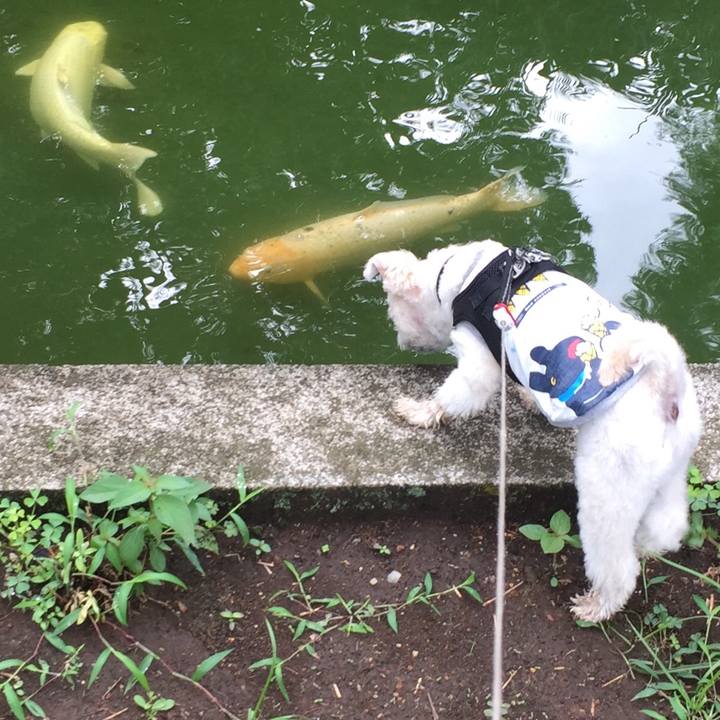 B36e0952 bfa8 4b21 b550 cfc0d3bbcfcd