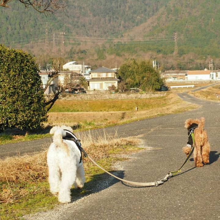 B36e13a2 fe6c 4471 bf66 b06a5f40b3f4