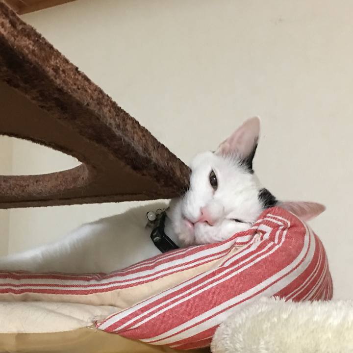 B36e8bf7 6f01 494d 9ea8 2fbd5bcee515