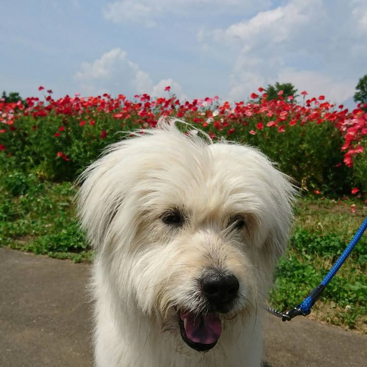 B36eb9b5 6c7d 481d 9b8a 9a760376ba7f