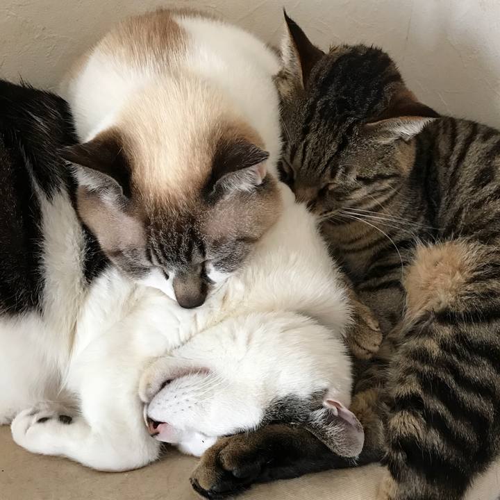 B36f0fc8 dfff 4137 b8d0 15508b809731