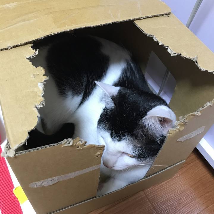 B36f3458 ec54 48e9 98d8 ecaea6eb794b