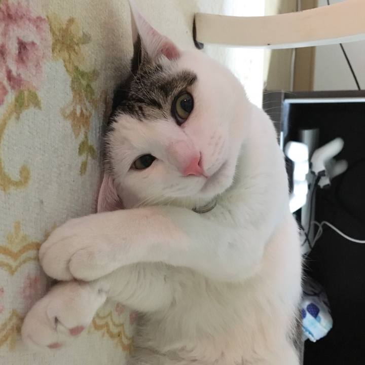 B36ff0a5 0a04 4a8e a506 2a545ca1b843