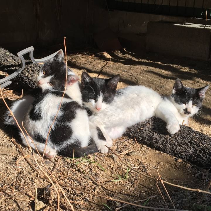 B3700fc1 048c 4439 af65 7d696de7e021