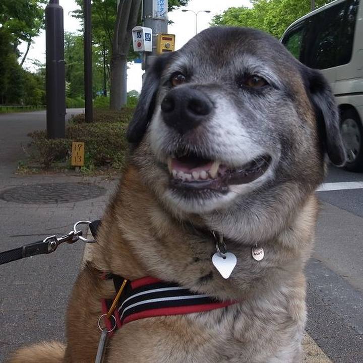 B3701092 e48e 4a57 b176 a9f4f0028a15