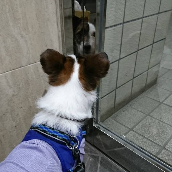 B370118e f7ae 4fdb 83a4 00dfae631082