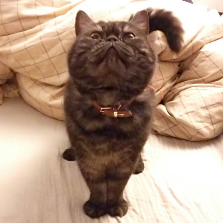 B370137c 3592 4aa6 80b7 78f60d3d6974