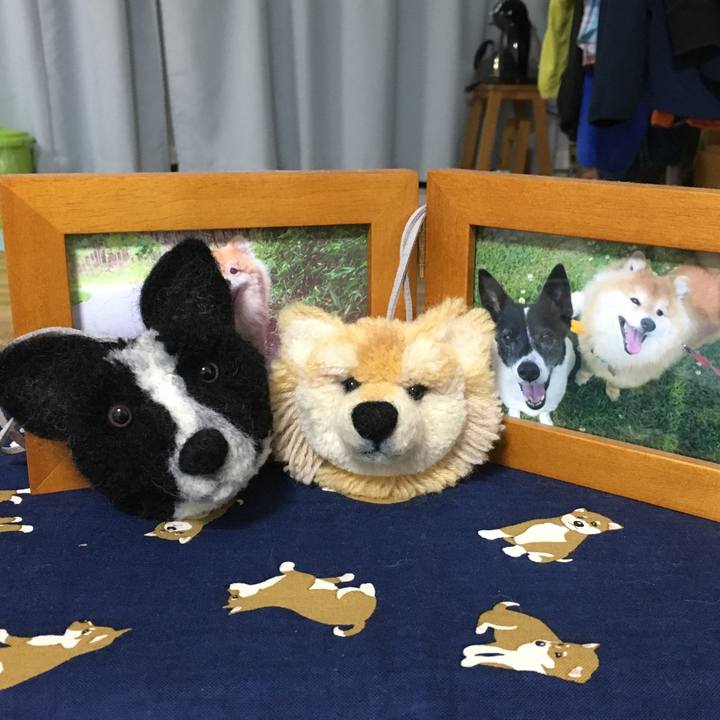 B3708e53 e253 4234 beb7 0a85aa38e607