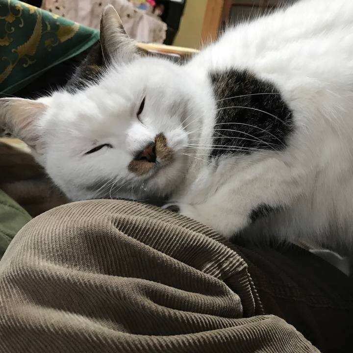 B3713855 5b40 4374 9f82 ecf19794c51f