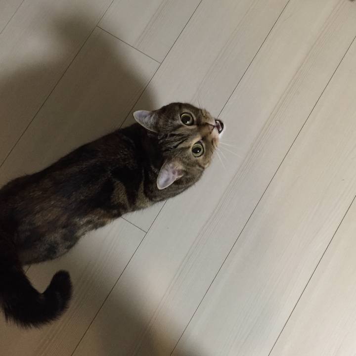 B371a9ee 7158 4821 8e8c c2a88ef4f74a