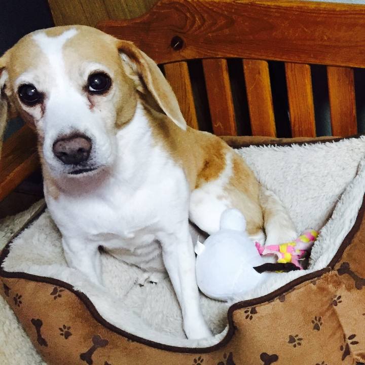 B371b379 2bf9 4ec3 aaad 65f279a37772