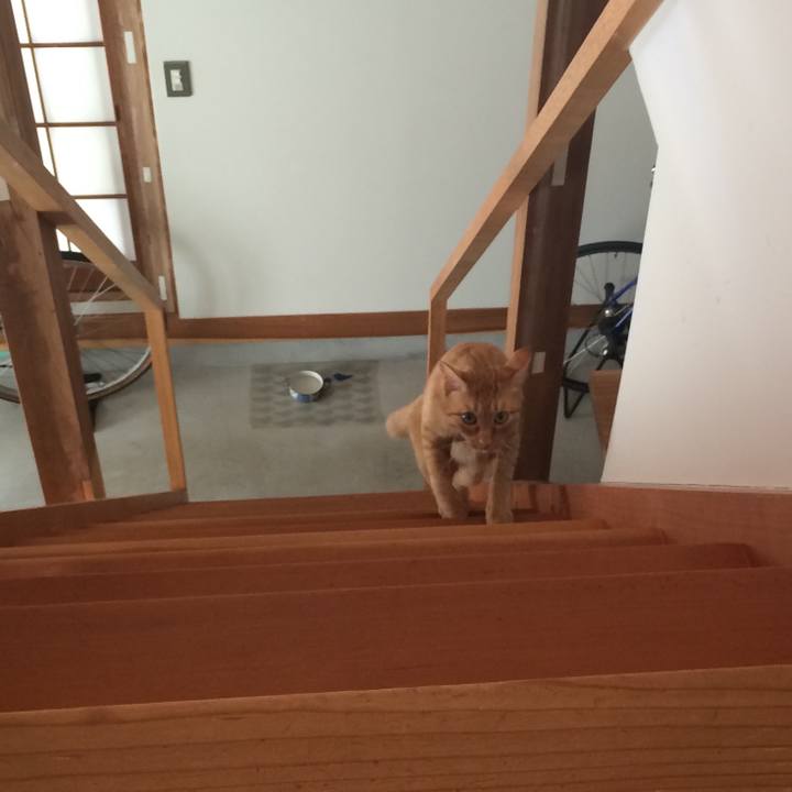 B371e162 954a 43c3 9ec8 2805d7b4cd9f