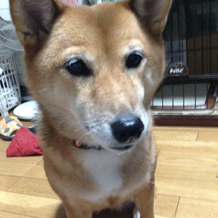 B371ecde 897f 4426 b627 7853b008dc28