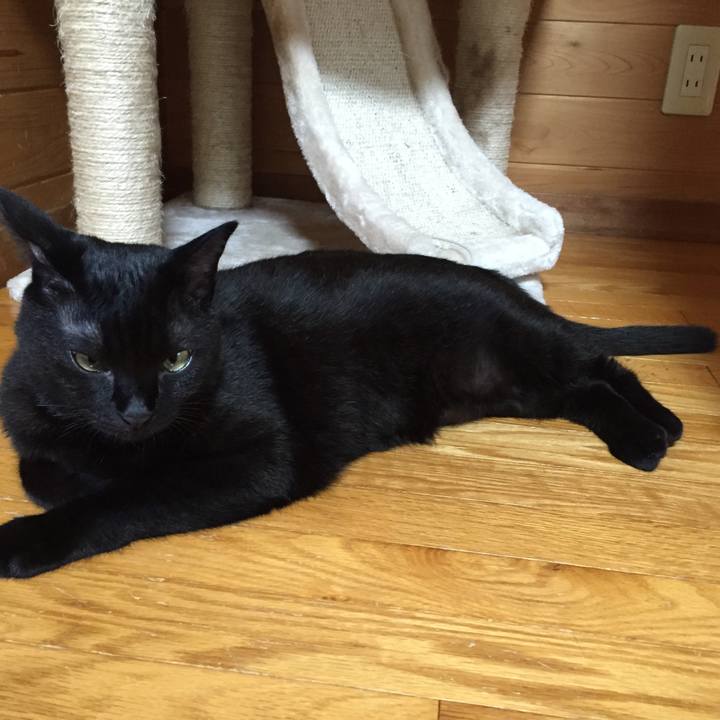 B3727769 9aaf 41a7 a401 9d66cea8c8e4