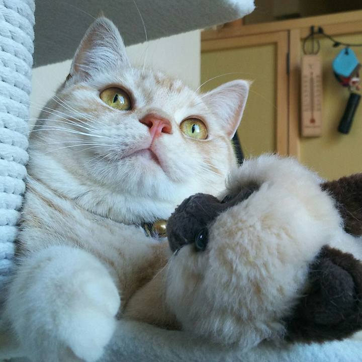 B372940d cc6e 46f0 93b7 efec98513565