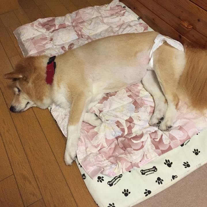 B3729a2b c622 4d99 b6fc 24923c4fb3c1