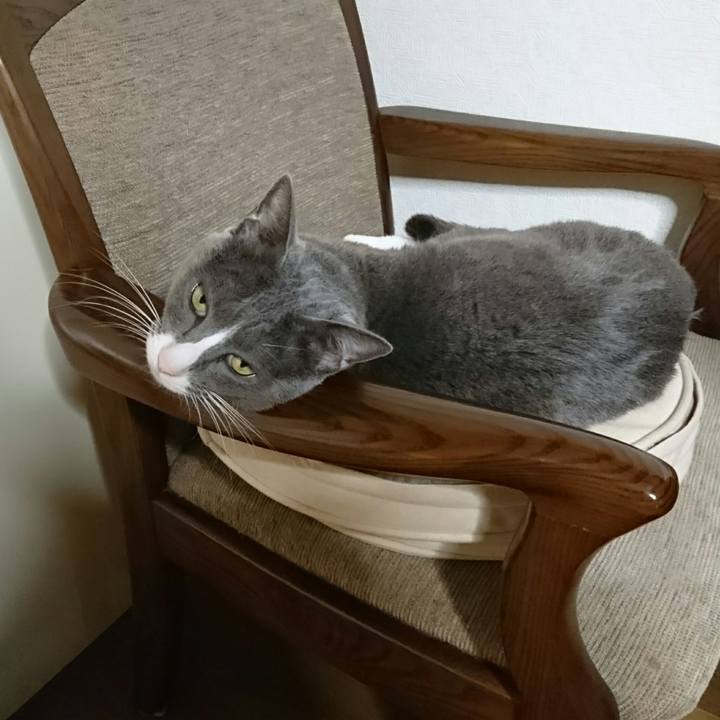 B372a2f7 20a0 4870 8bdc 53c1978620c3