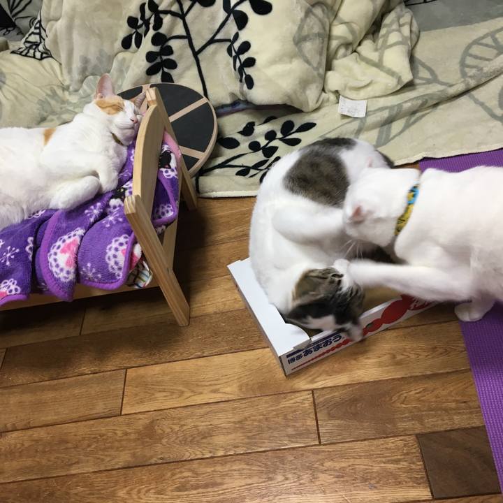 B372fba9 8f60 4dd5 9660 47d34e956fbd