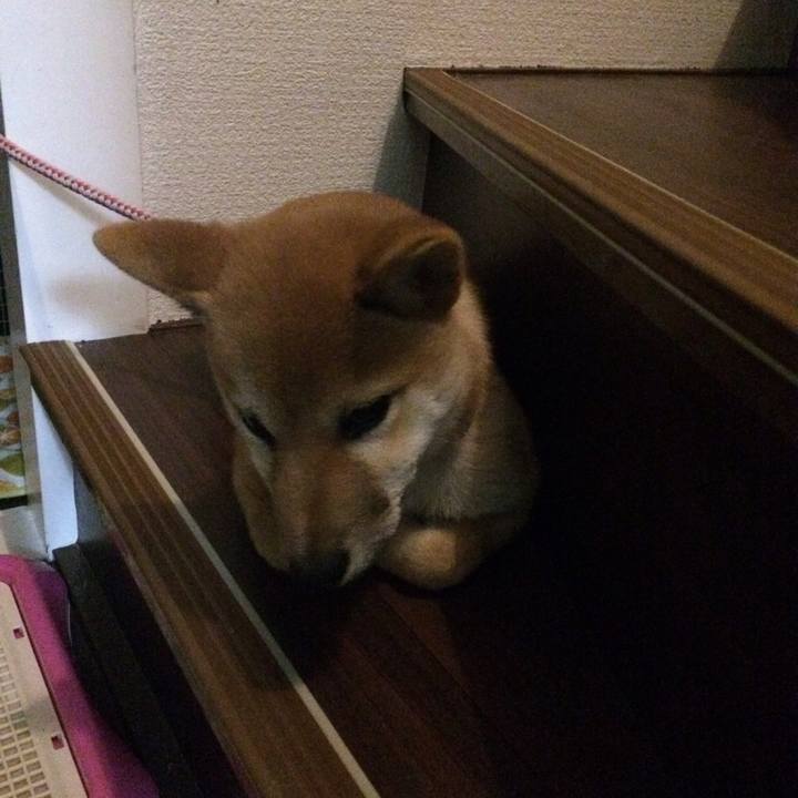 B3734eb0 ee83 46f6 8a92 baae8473ee20