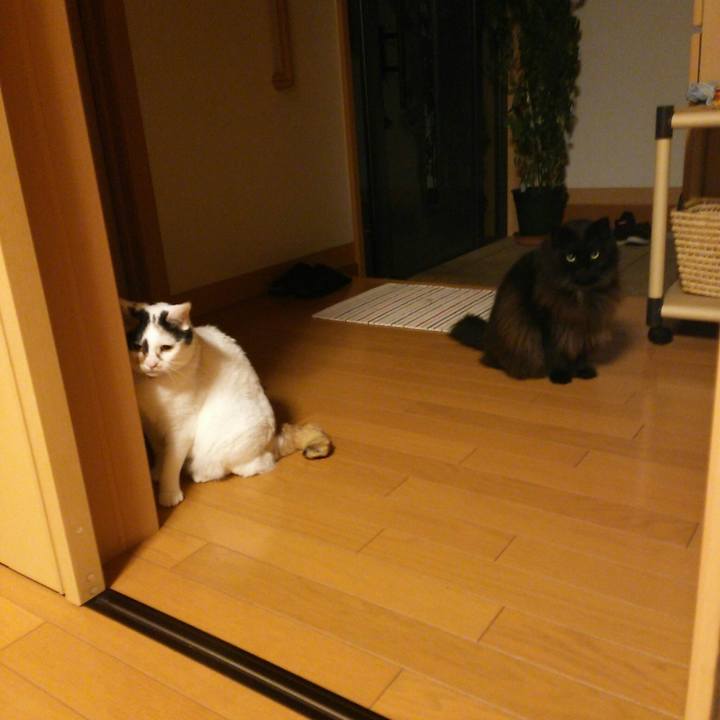 B3738a17 1921 4ee5 99fd 3a8223aaffe5