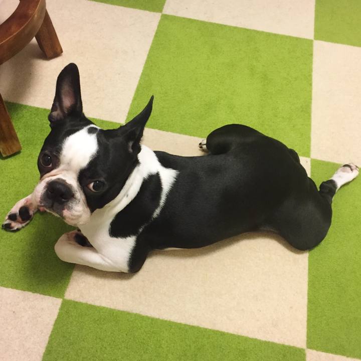 B373ed63 6ab3 4768 a2f3 dc1ef631e697