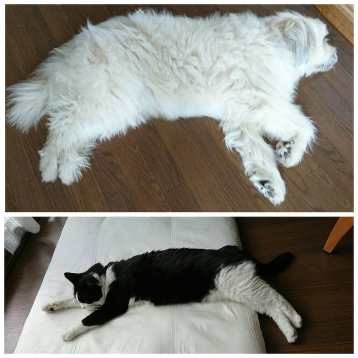 B3741cf7 0c14 4c6b 8bfe 5d1bdfb86a3b