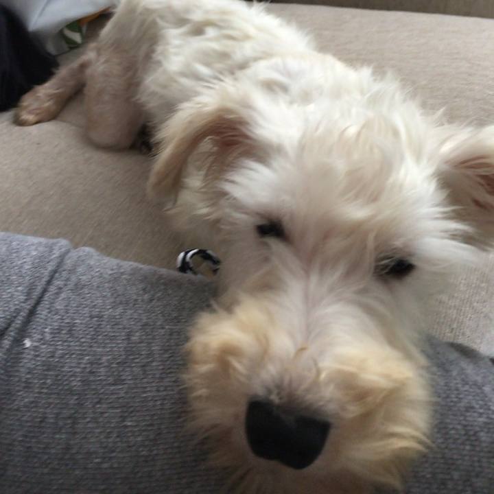 B3742105 d9ce 4132 b007 df73b62f4439