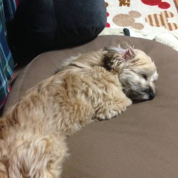 B37456b2 68e6 44da 9282 5b12dd4d2ae6