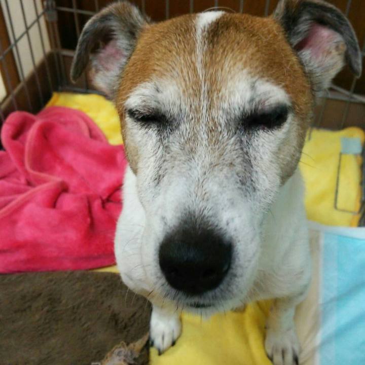 B374d54a bf27 49ac 80c8 0f3e9f2bcbca