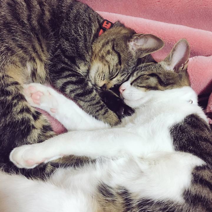 B37522c4 0b04 4877 b2b7 16ab910512ff