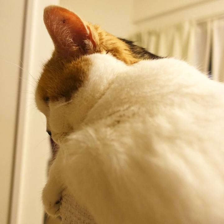 B375411c 3113 40ee 8bf6 51e0aa28a896