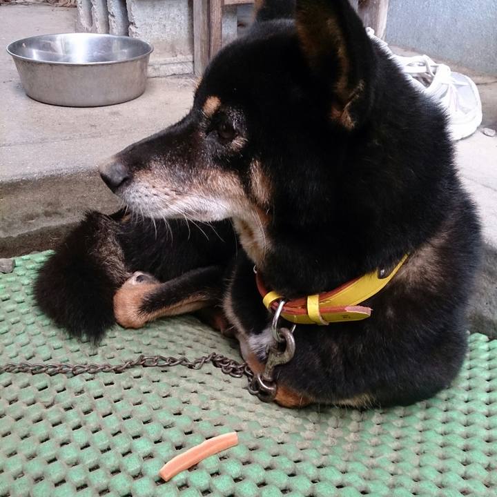 B375d958 447b 42ba 8987 794ac612af40