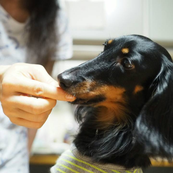 B376f4a9 4b27 448b 838c cc8037754bd7