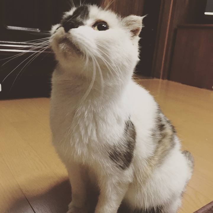 B3775776 9d1d 4bff 80d9 53ad73371519