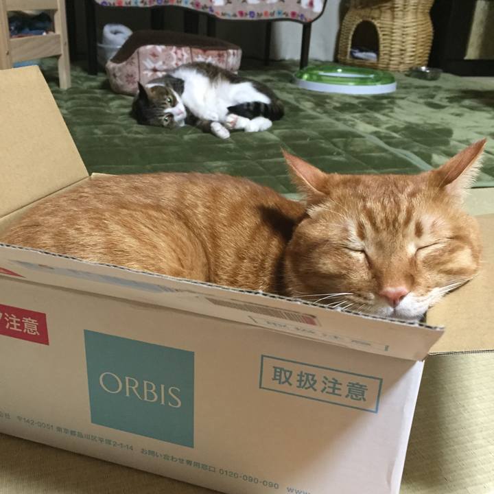 B3784d20 6eab 406d 8acc 27af7b66e25e