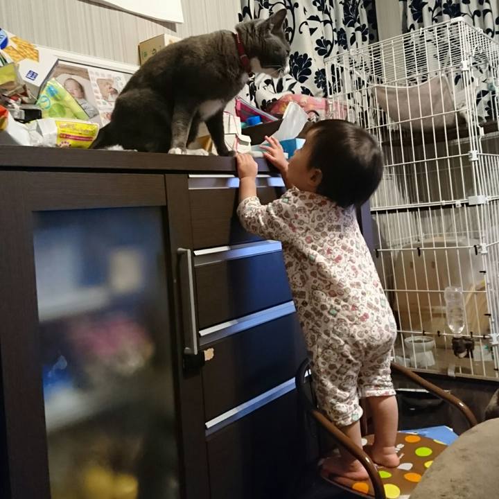 B378f44a 45ec 42bc 8957 4b5aa4cfbcc2