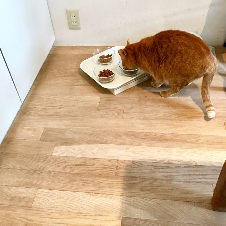 B3794b45 7ec2 49b5 8174 32e3bf8971a1