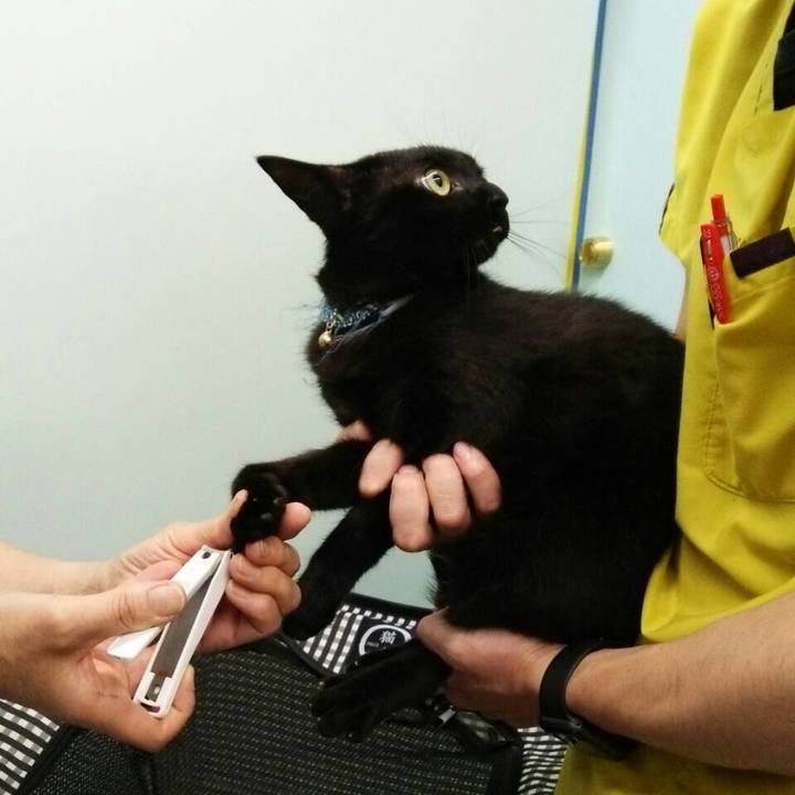 B37974b9 5370 4e14 ad48 f08d690030d9