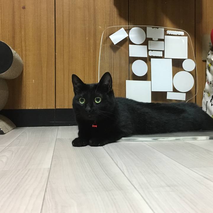 B37a15ce 59f7 4201 81db 9d18563890b0