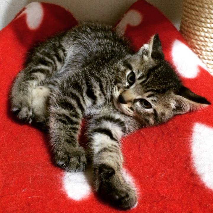 B37a39cb 60f2 4c23 bdbf 720d1df91b72