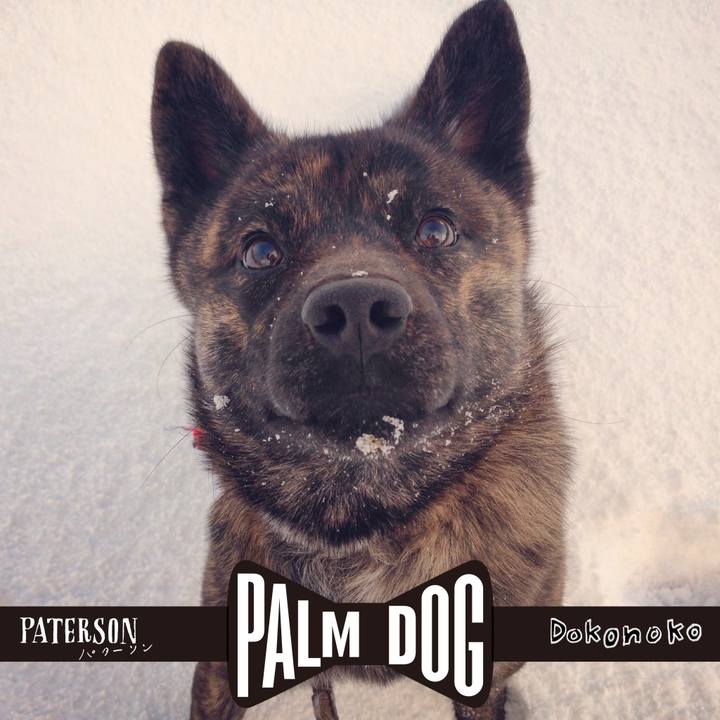 B37b4c10 2fe3 4ea8 8598 c7f658b55d26