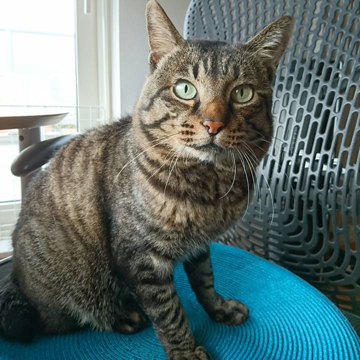 B37b4c68 eab9 459e b879 b38d4eba1efa