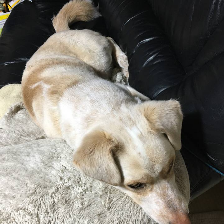 B37b6b14 5d5e 4a15 ac61 c7903d1094e0