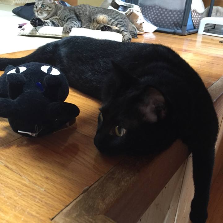 B37b75cb 9d03 4dee a127 8e3d482045fa