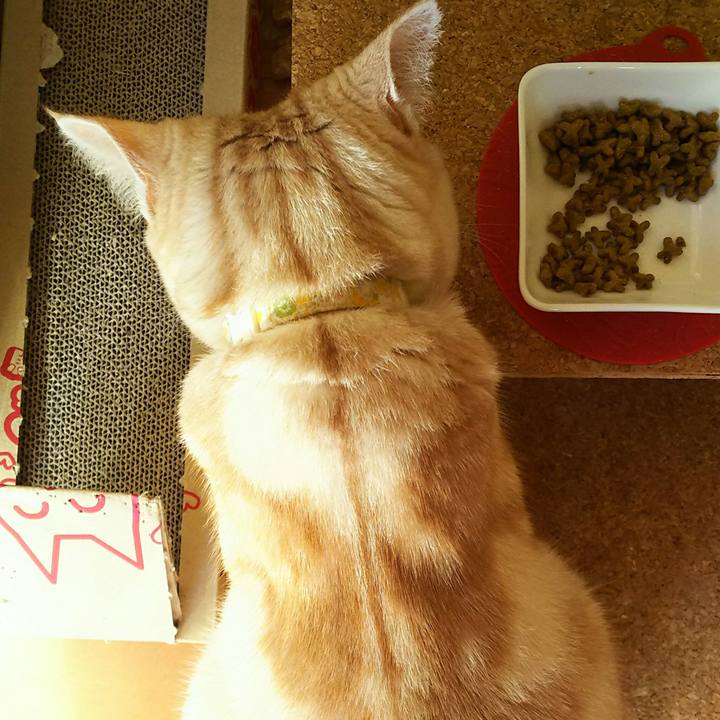 B37b9bed e3b8 44d6 992a 1decbd22a5f7