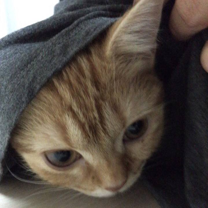 B37bad56 a8e4 4262 88ac 3342388dabc2