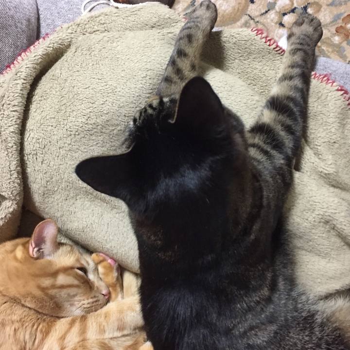 B37c91c8 6e2b 4023 80be 45ac6cf997dd