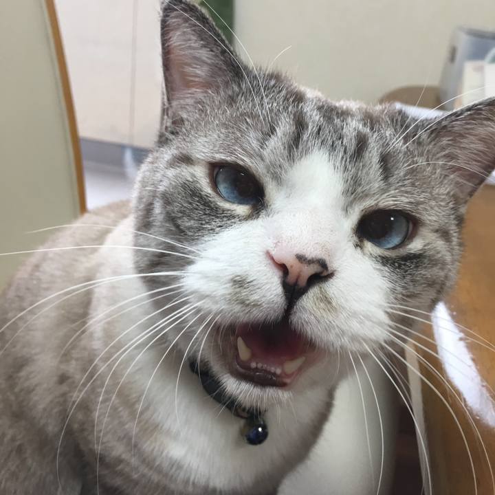 B37c94b1 b4d4 4ac3 bbe9 12726592c0a4