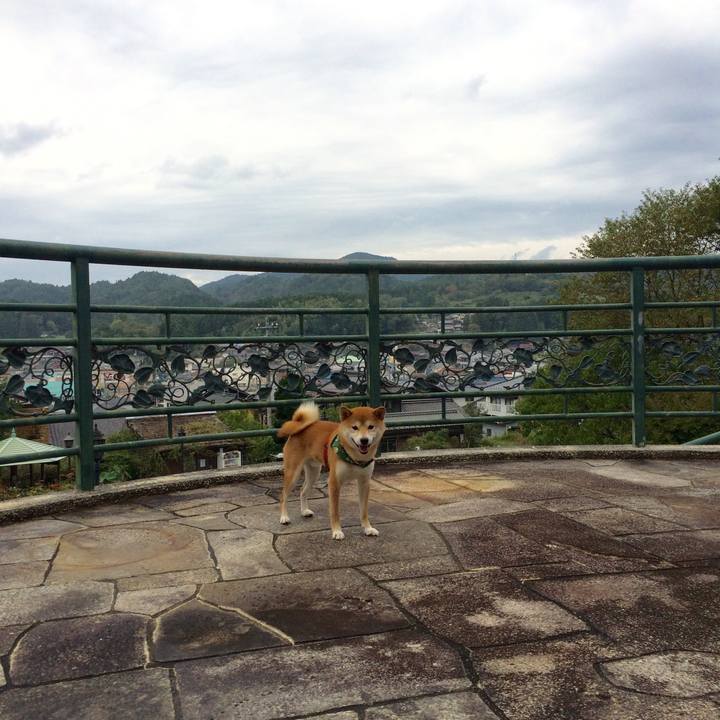 B37ca529 7a69 45ce b3fb 3875bf439b69